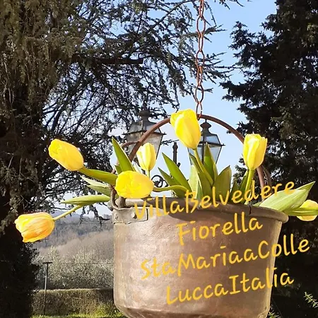 Belvedere Fiorella * Lucca