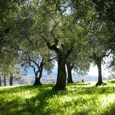 Villa Belvedere Fiorella *