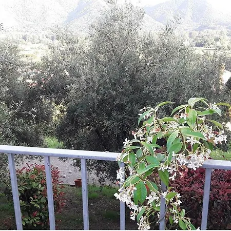 Villa Belvedere Fiorella *